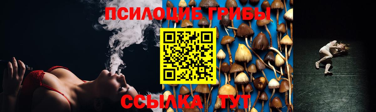 Псилоцибиновые грибы Magic Shrooms  Вход с VPN  Псилоцибиновые грибы MAGIC MUSHROOMS  Рассказово 
