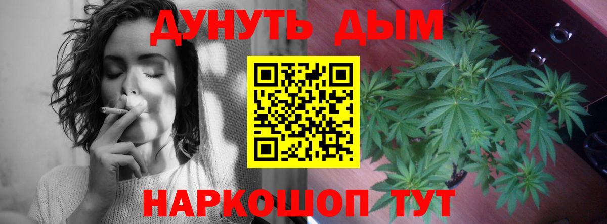 Бошки марихуана гибрид Рассказово